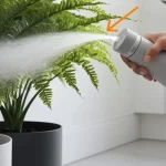 Misting Your Plants