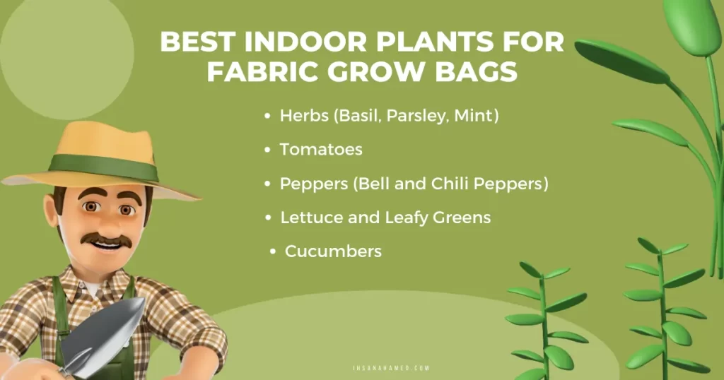 Best Indoor Plants for Fabric Grow Bags