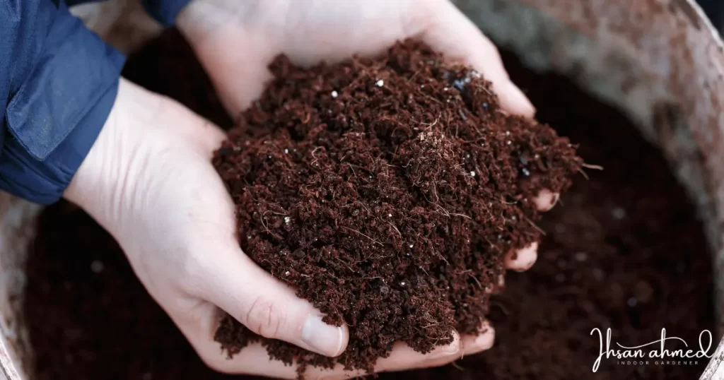 Coco Coir Soil