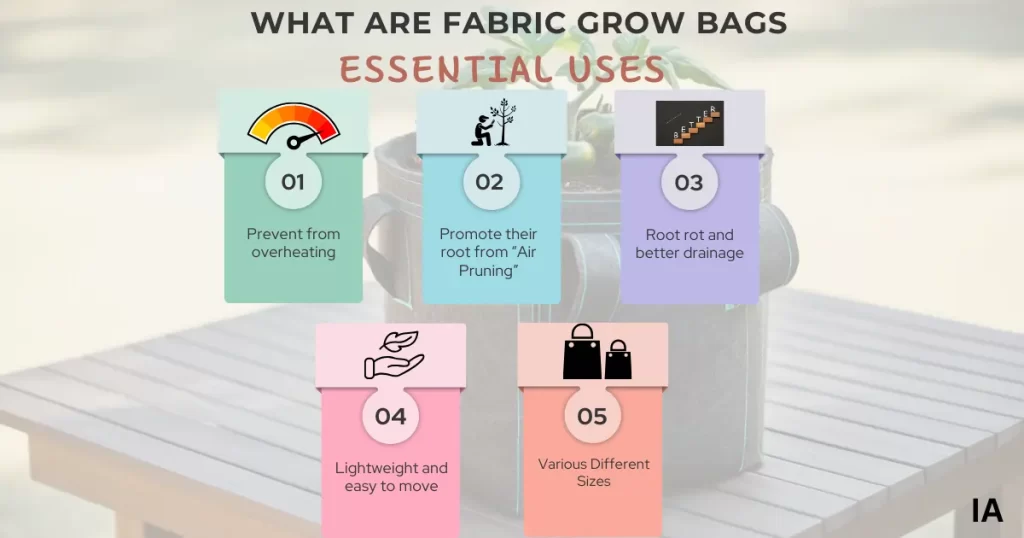 What are Fabric Grow Bags